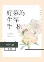 好莱坞生存手札 酒小熹