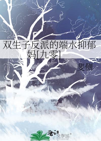 双生子完结