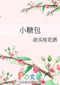 小糖包寻归途