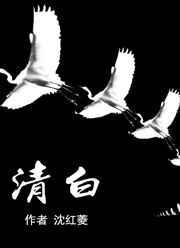 清白之年