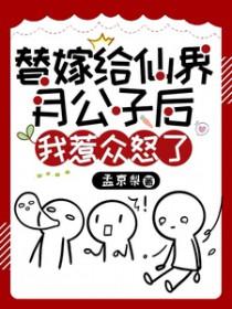 替嫁公主笔趣阁