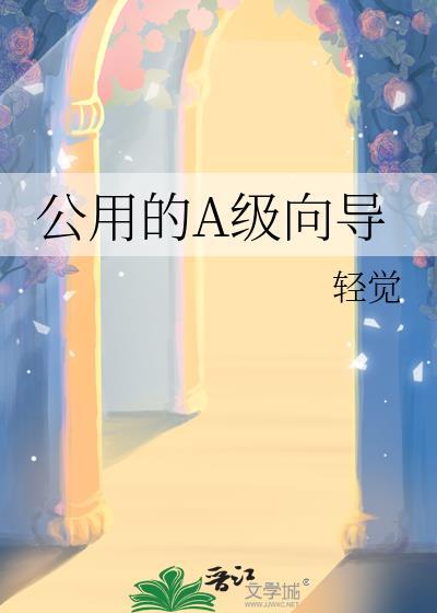 A级向导txt