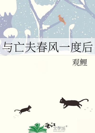 与亡夫春风一度后全文免费阅读