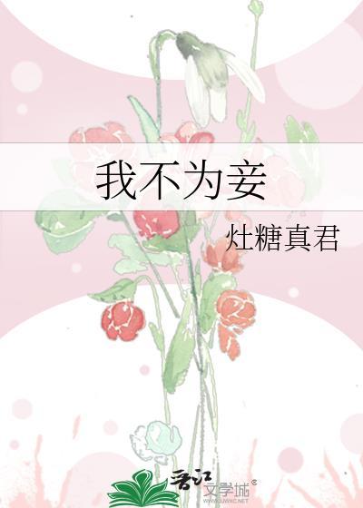 我不为妻无防盗