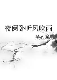 铁马冰河入梦来意思