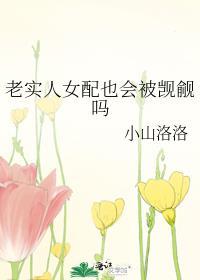 老实女配不老实快穿文