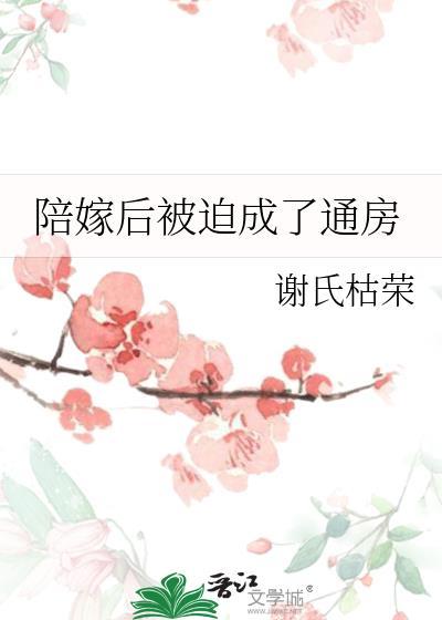 陪嫁别墅被占我八台挖机短剧最新章节