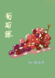 葡萄藤是啥