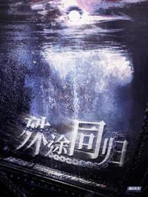 殊途同归by独山凡鸟 txt