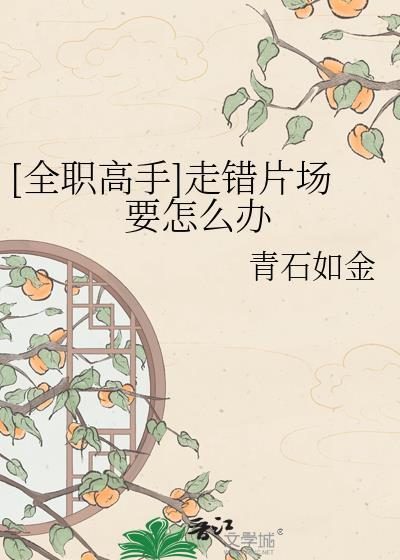 全职高手时间线重合