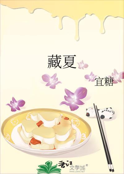 藏夏TXT小百度