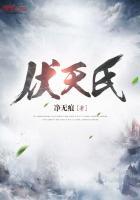 伏天氏笔趣阁阅读