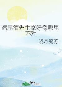 鸡尾酒先生家好像哪里不对