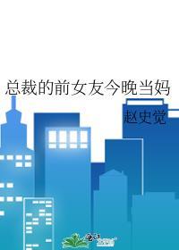总裁的前女友今晚当妈